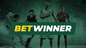 How to Reach BetWinner Support Your Comprehensive Guide